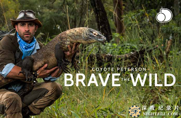 Brave-the-Wild.jpg