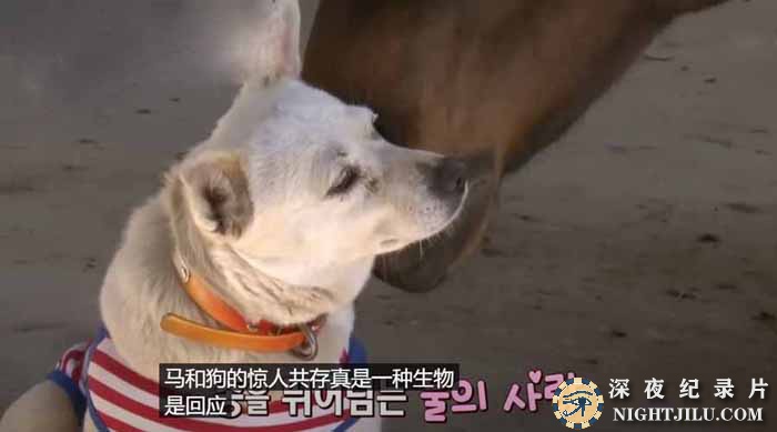 tvdong-4.jpg