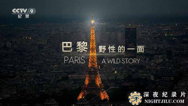 Paris-A-Wild-Story.jpg