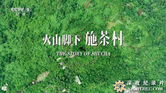 The-Story-of-Shicha.jpg