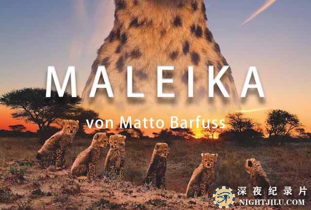 Maleika.jpg