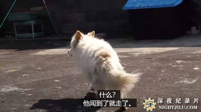 TV-DONGWU-20.jpg