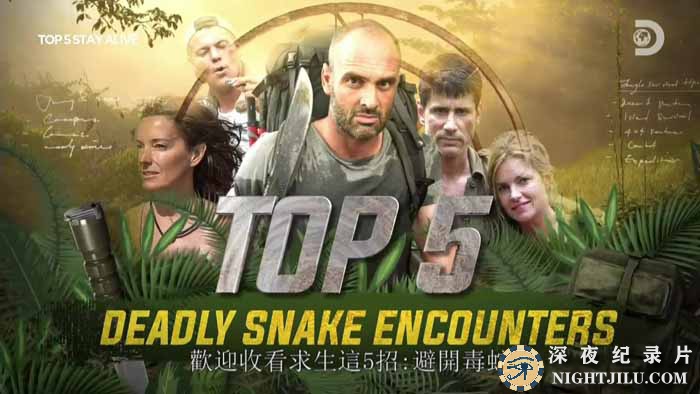 Top-5-Stay-Alive.jpg