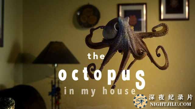 The-Octopus-in-My-House.jpg