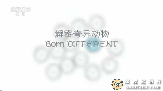 Born-Different.jpg