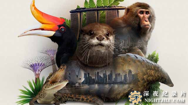 David-Attenboroughs-Wild-City.jpg