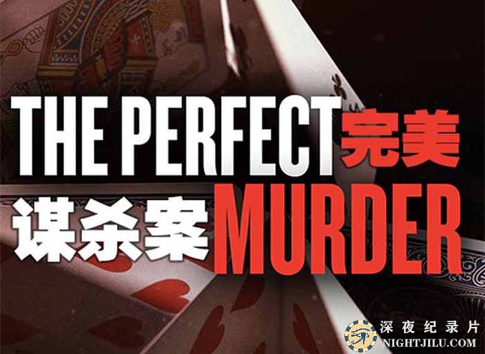 The-Perfect-Murder.jpg