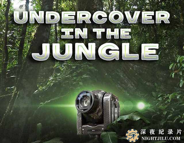 undercover-in-the-jungle.jpg