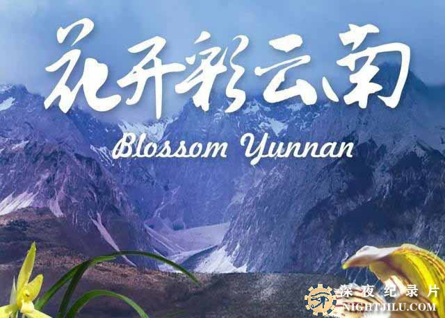 Blossom-Yunnan.jpg