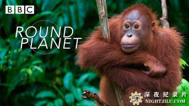 Round-Planet.jpg