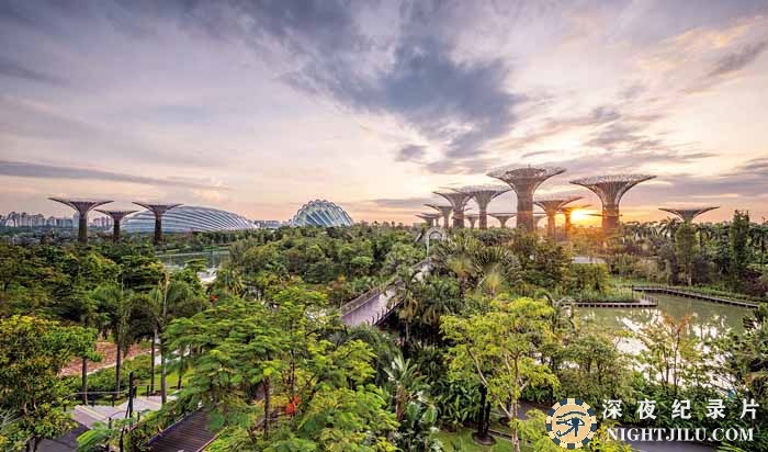 Living-Cities-Singapore.jpg