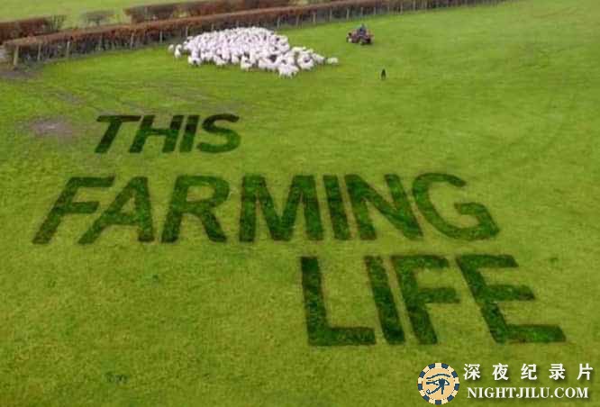 This-Farming-Life-S1.jpg