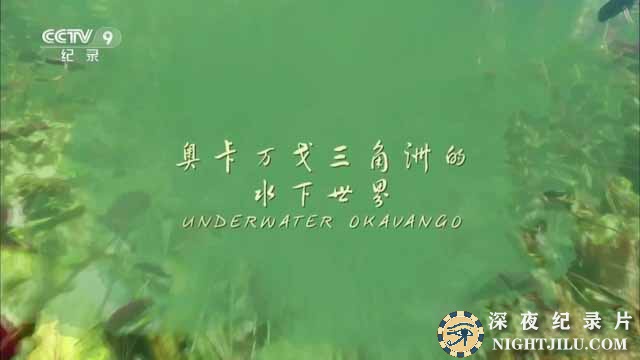 Underwater-Okavango.jpg