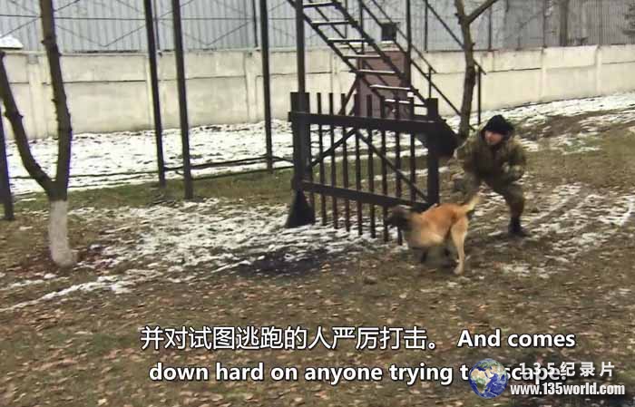 Behind-Bars-2_-The-World’s-Toughest-Prisons.jpg