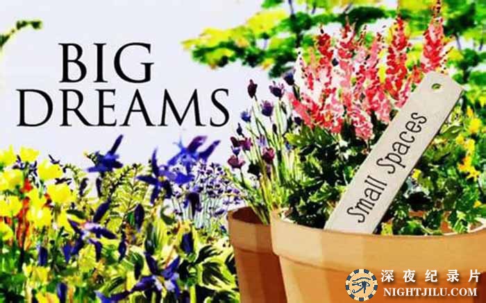 Big-Dreams-Small-Spaces-Season-1.jpg