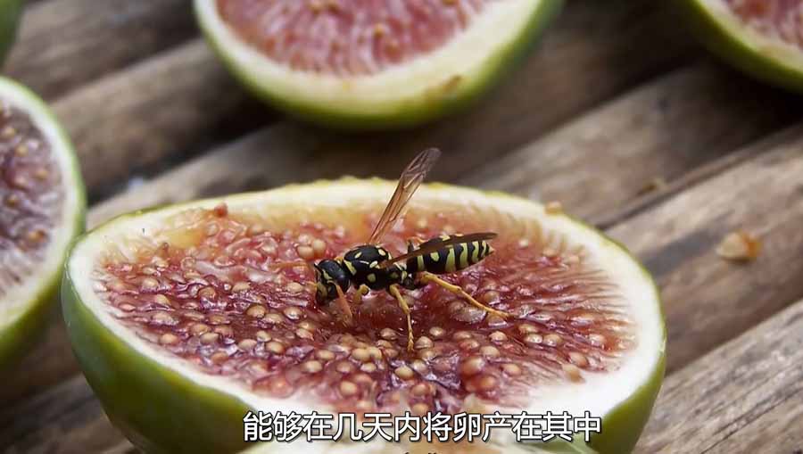 20230503152008218.jpg