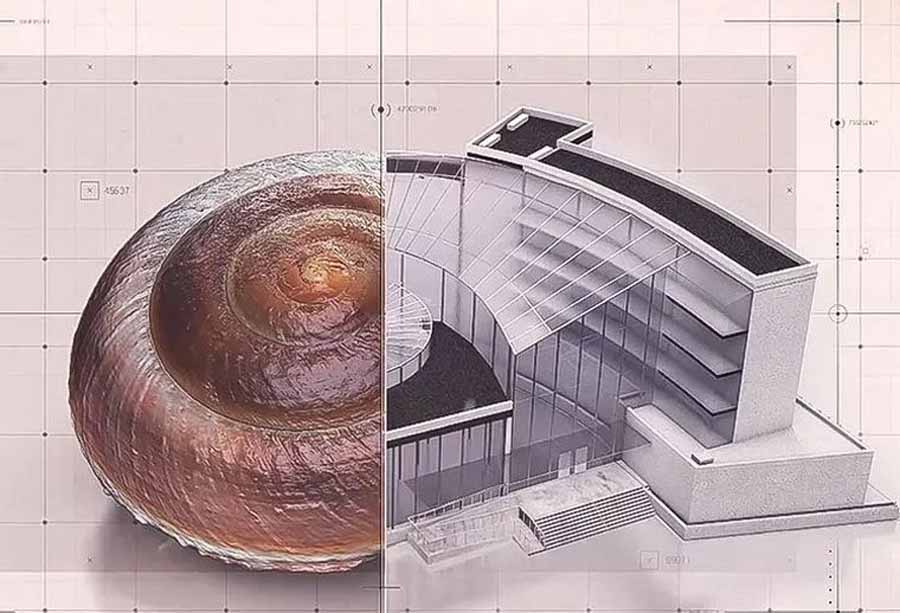 20230721115852855.jpg