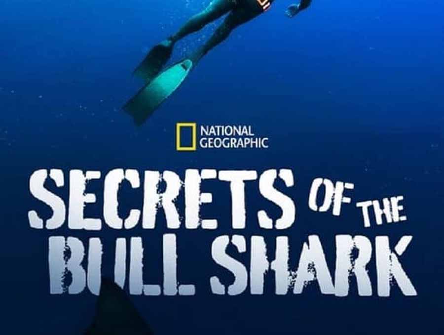 Sharks-of-the-Bermuda-Triangle.jpg