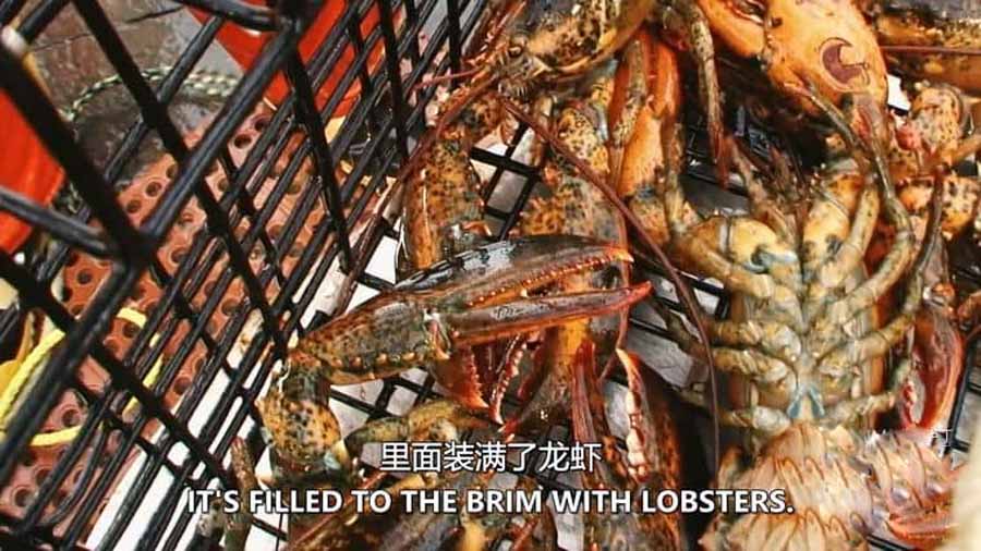 Lobstermen-2009.jpg