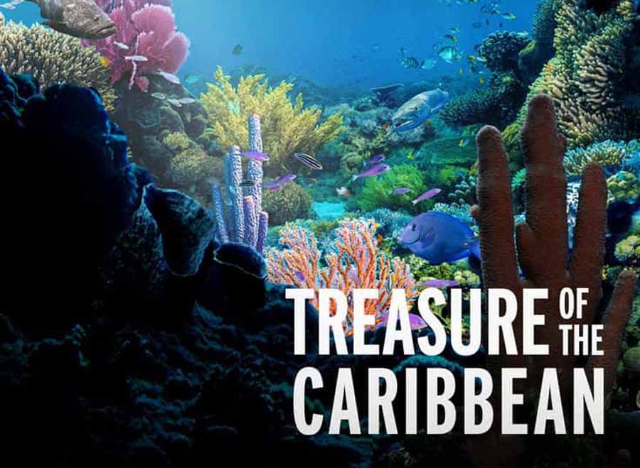 Treasure-of-the-Caribbean.jpg