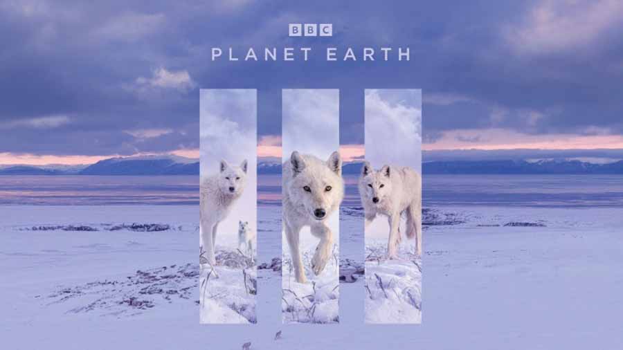 Planet-Earth-3.jpg