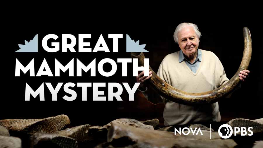 Great-Mammoth-Mystery.jpg