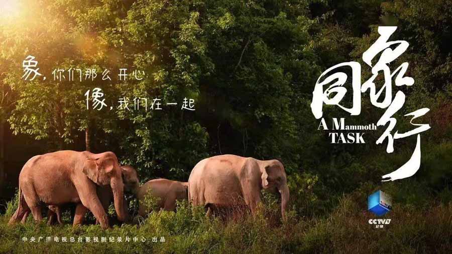 March-of-the-Elephants.jpg