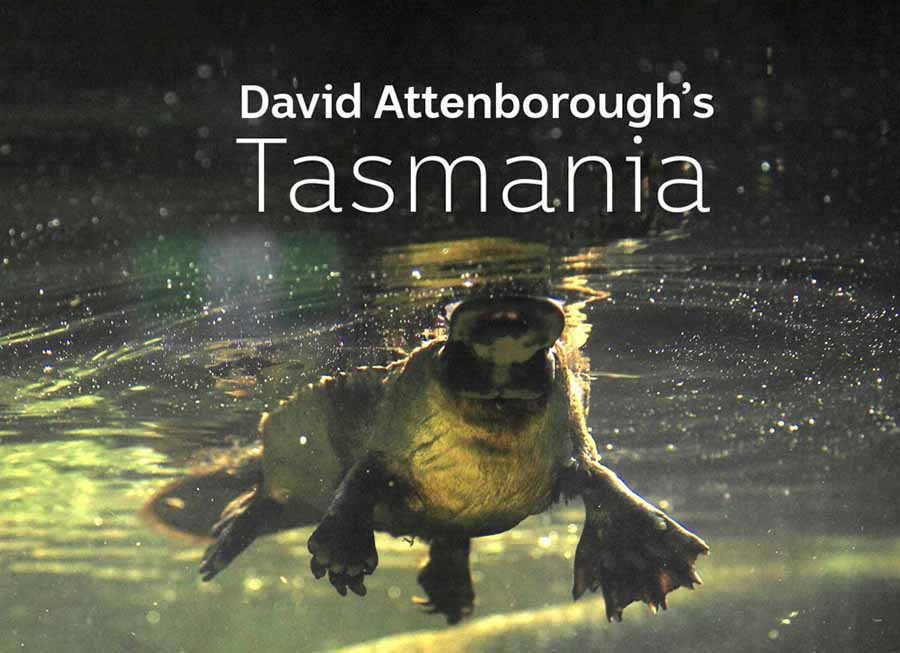 David-Attenboroughs-Tasmania.jpg