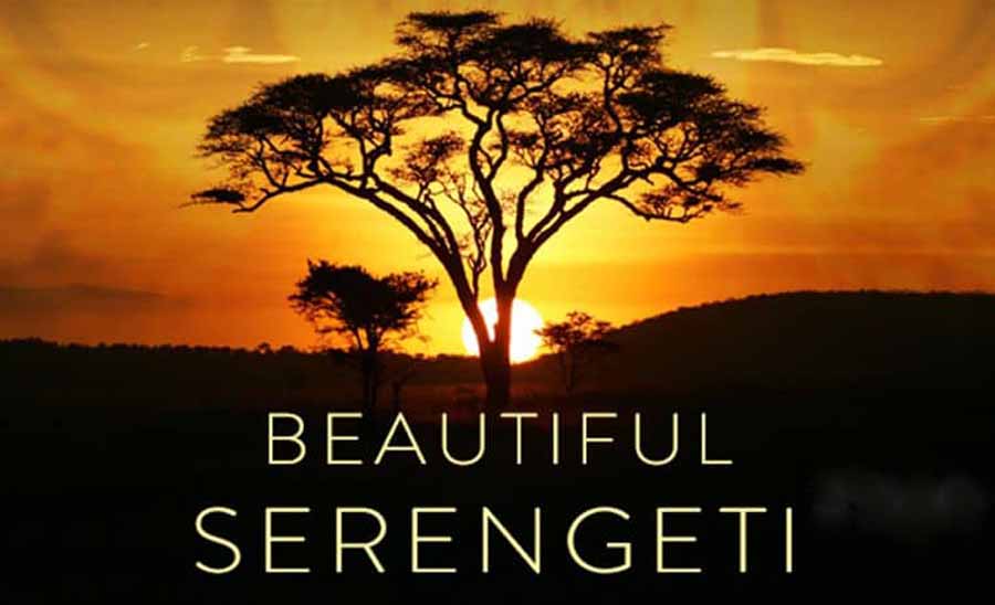 Beautiful-Serengeti.jpg