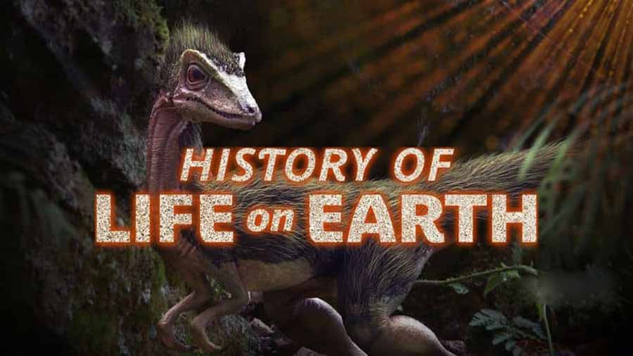 History-Of-Life-On-Earth.jpg
