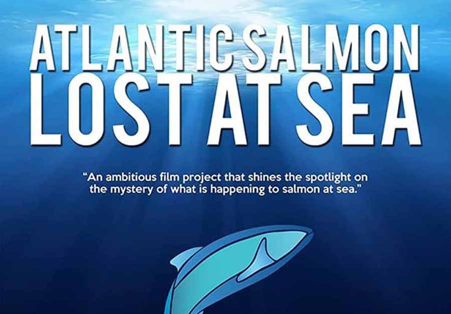 Atlantic-Salmon-Lost-at-Sea.jpg