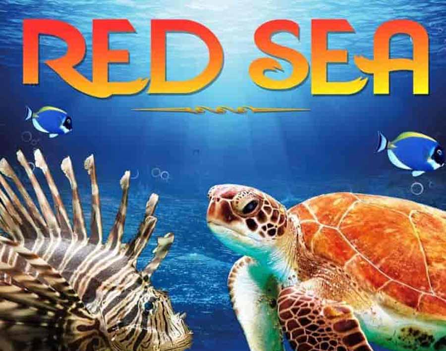 Red-Sea-2016.jpg
