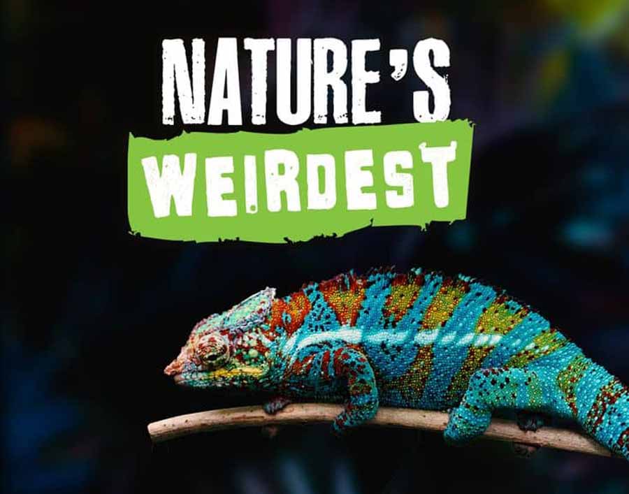 Natures-Weirdest.jpg