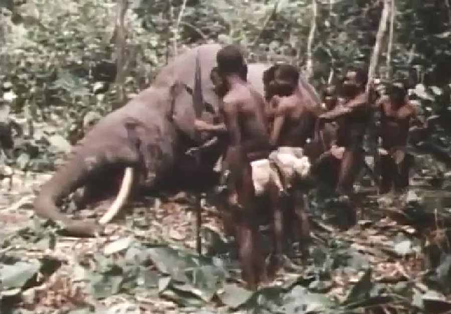 baka-hunt.jpg