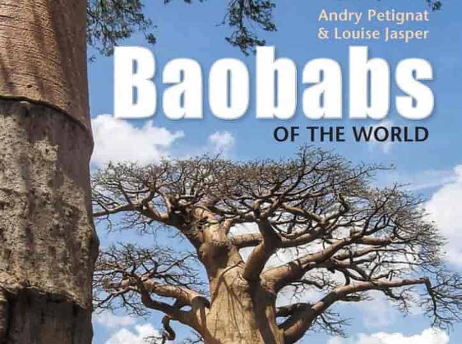 Baobab-The-Upside-Down-Tree.jpg