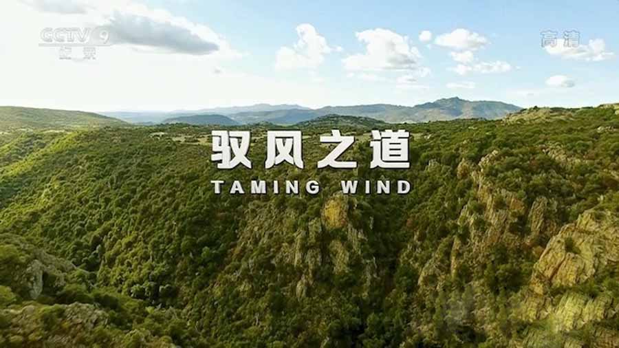 Taming-Wind.jpg