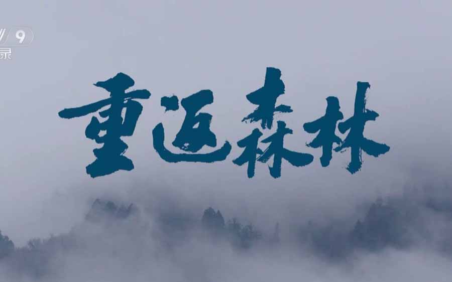 chong-fan-sen-lin.jpg