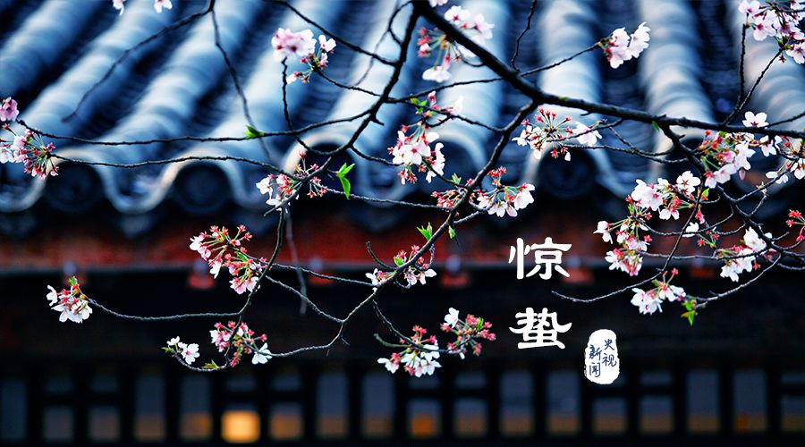 JING-ZHI.jpg