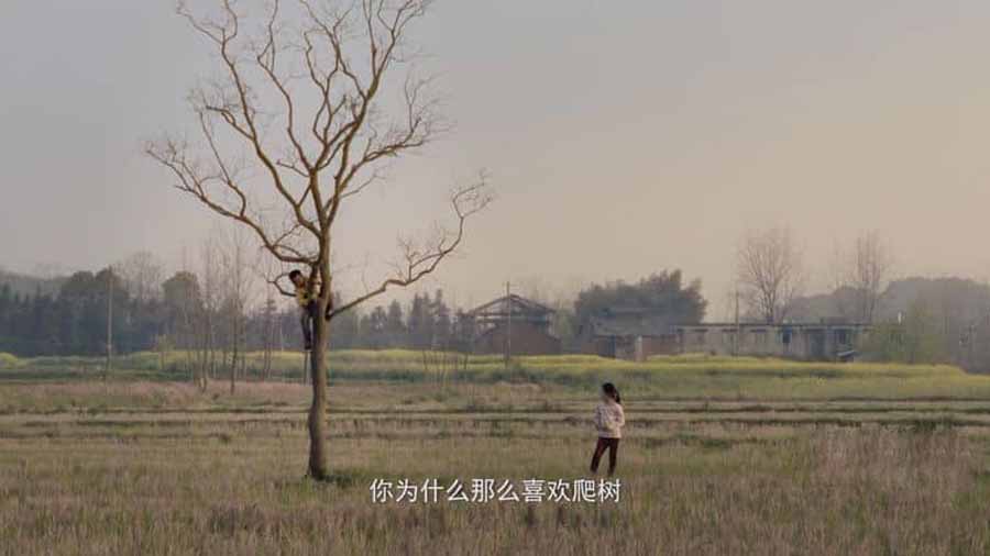 Tree-Knows-Every-Thing.jpg