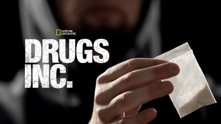 Drugs-Inc.jpg