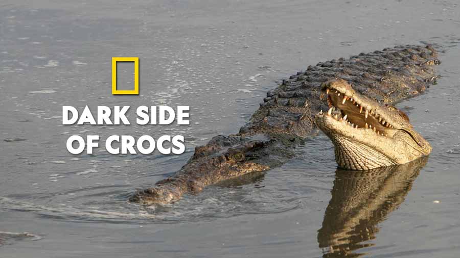 Dark-Side-of-Crocs.jpg