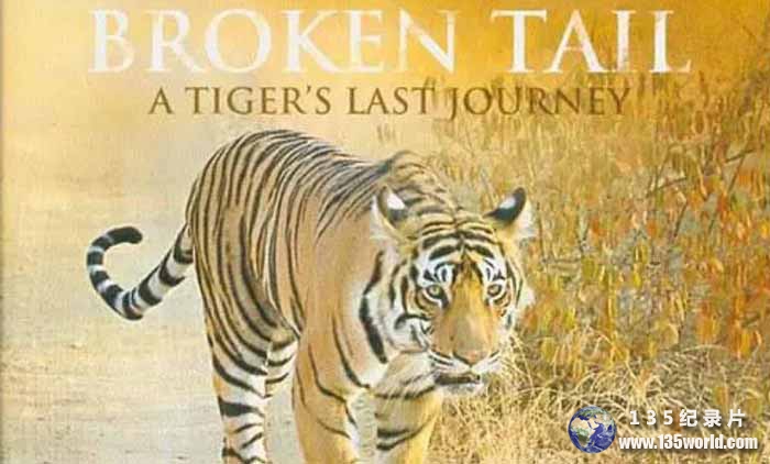 Broken-TailA-Tiger’s-Last-Journey.jpg