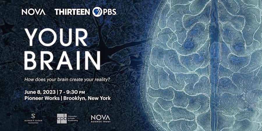 Your-Brain.jpg