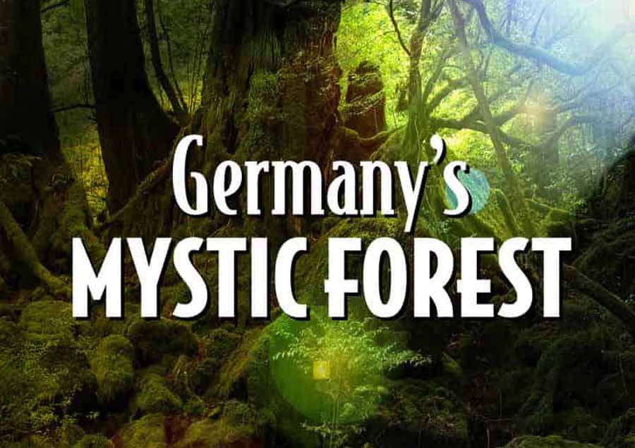 Germanys-Mystic-Forest.jpg