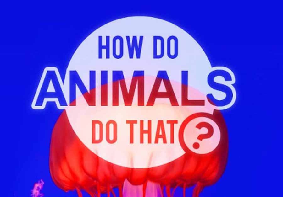 20230124215559439.jpg