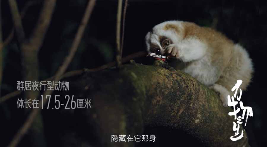 WAN-WU-ZHI-SHENG.jpg