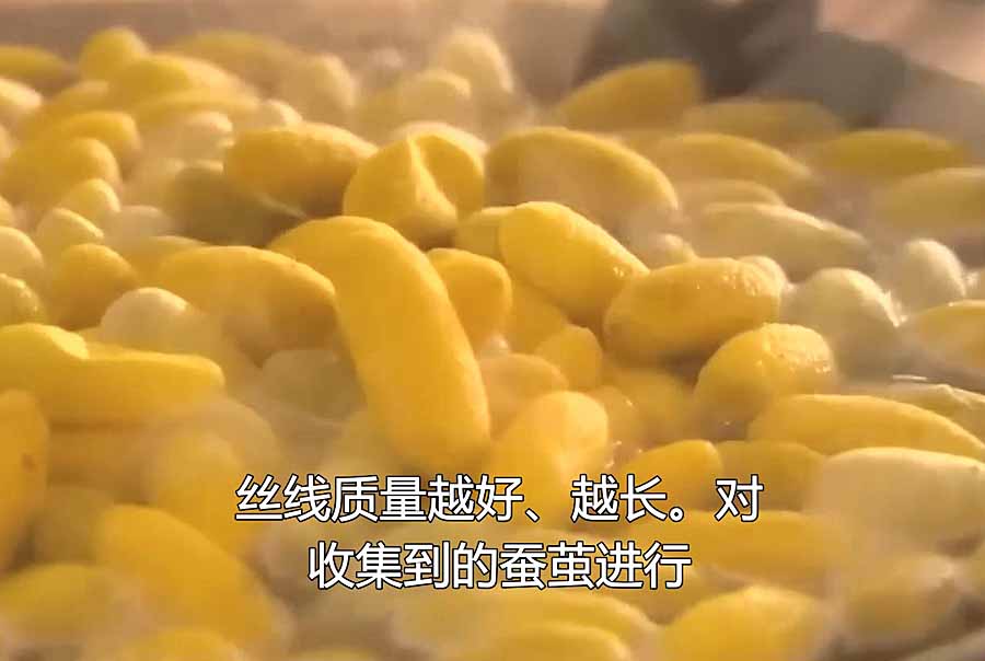 SI-CHOU-SHENG-CHAN.jpg