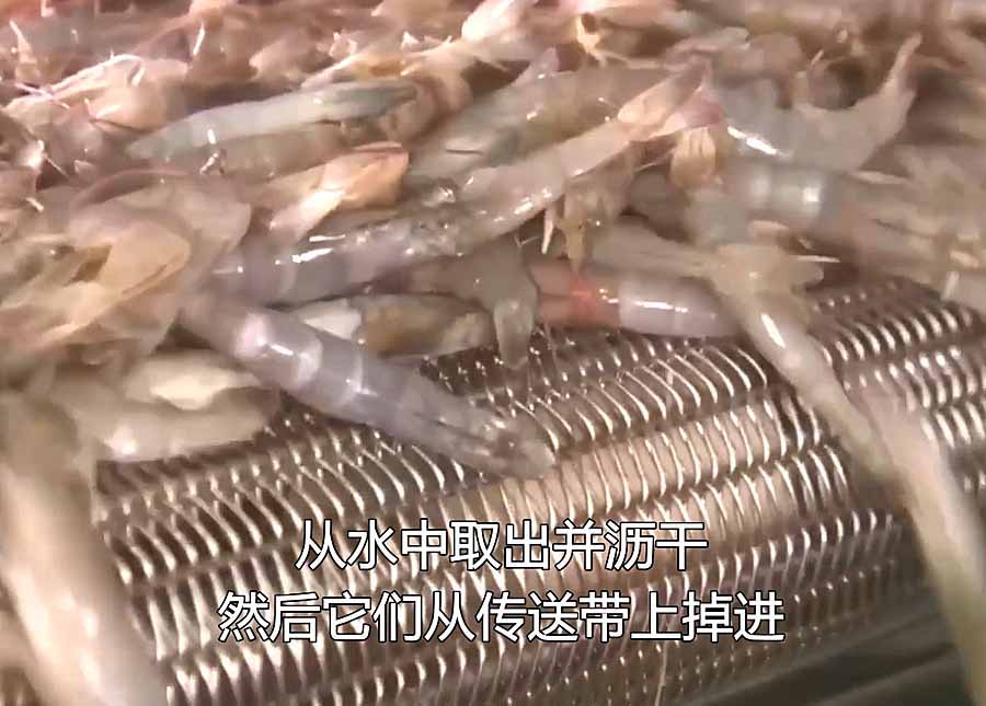 BING-DONG-XIAREN.jpg