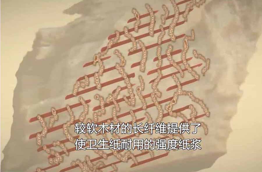 WEI-SHENG-ZHI.jpg