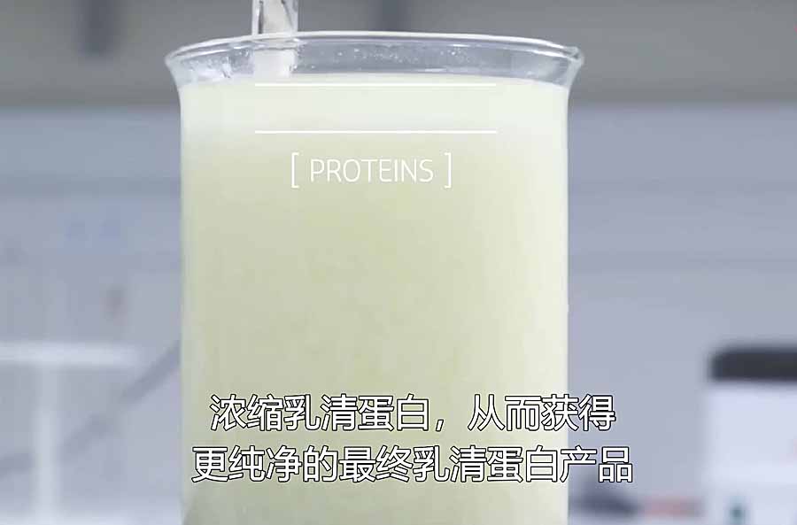 DAN-BAI-FEN.jpg